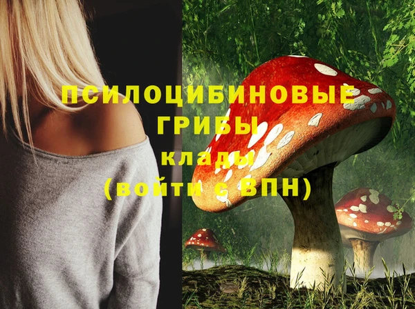 МДПВ Бутурлиновка
