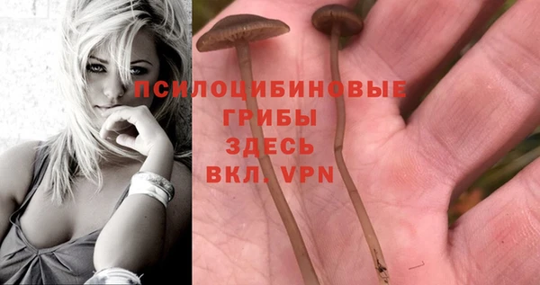 МДПВ Бутурлиновка