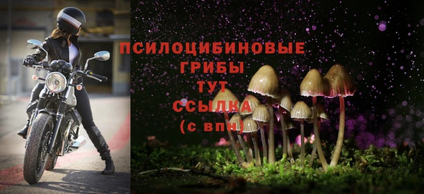 МДПВ Бутурлиновка