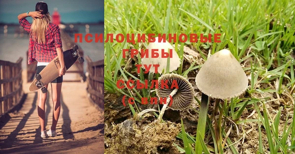 МДПВ Бутурлиновка