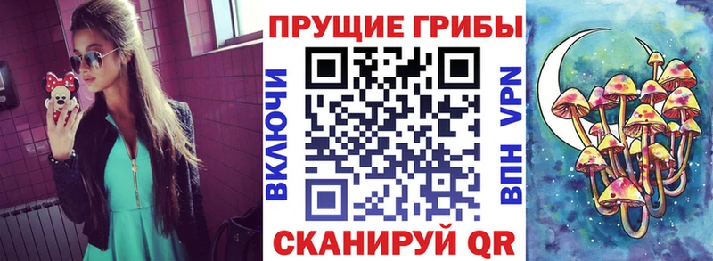 Псилоцибиновые грибы Psilocybine cubensis  Купить закладки  Задонск 